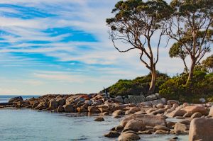 Bay of Fires - Discover Why About Us