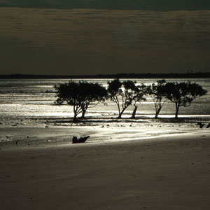broome wa broome wa