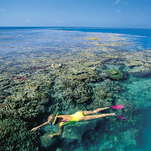 cairns qld cairns qld