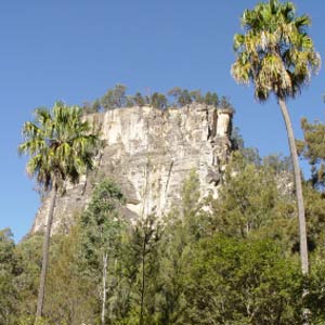 carnarvon gorge carnarvon gorge