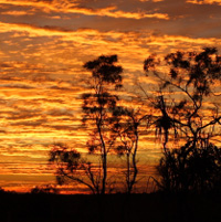 Northern Territory Tourism - Discover Why You Should 
