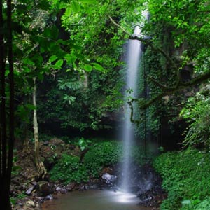 dorrigo nsw dorrigo nsw