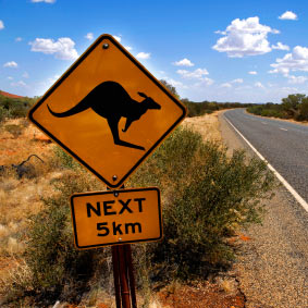kangaroo sign australia