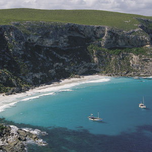 kangaroo island kangaroo island