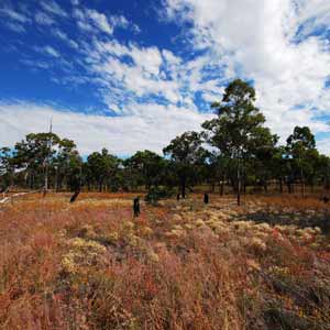 longreach longreach