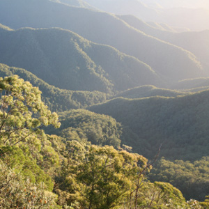 maleny qld maleny qld