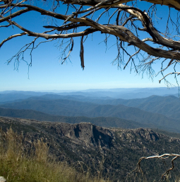 mt buffalo victoria