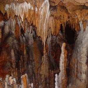 mt gambier mt gambier