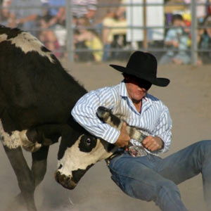 mt isa rodeo