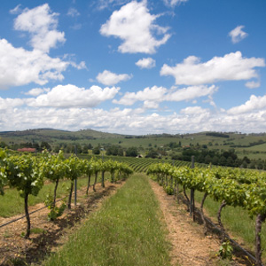 mudgee nsw mudgee nsw