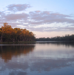 murray river