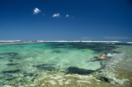 ningaloo reef ningaloo reef