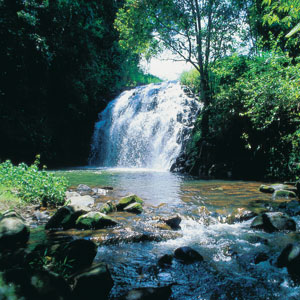 port douglas port douglas
