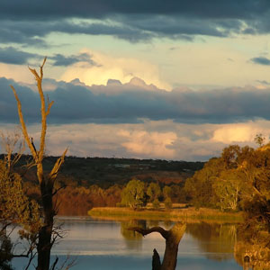 Soccer Referee Courses Western Australia Importers Of Brassware Handicraft Goods Australia