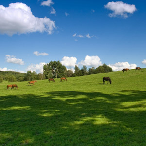 upper hunter valley upper hunter valley