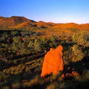 bushwalking wa bushwalking wa
