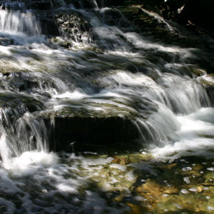 waterfall otways waterfall otways